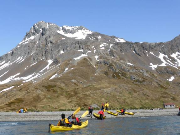 Hora de remar para a praia em Ocean Harbour, na Geórgia do Sul